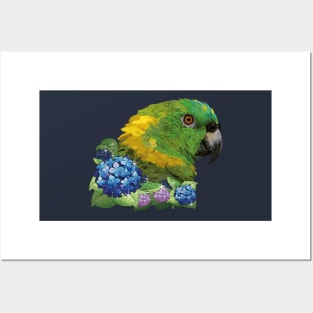 yellow-naped amazon Posters and Art